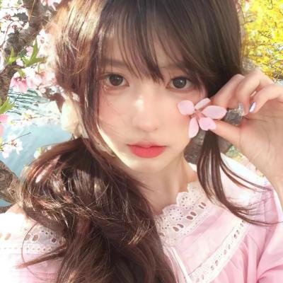 狗狗与我的十个约定